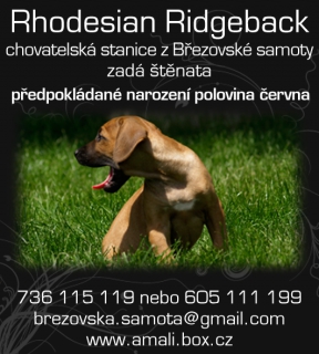 Rhodezský ridgeback s PP