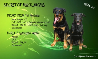 Beauceron s PP